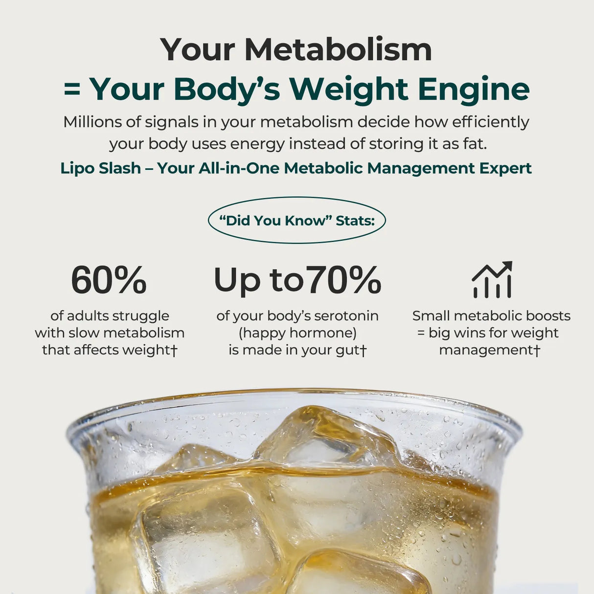 Lipo Slash 16-in-1 Metabolism Support Powder – Fat Burner & Digestive Health Formula