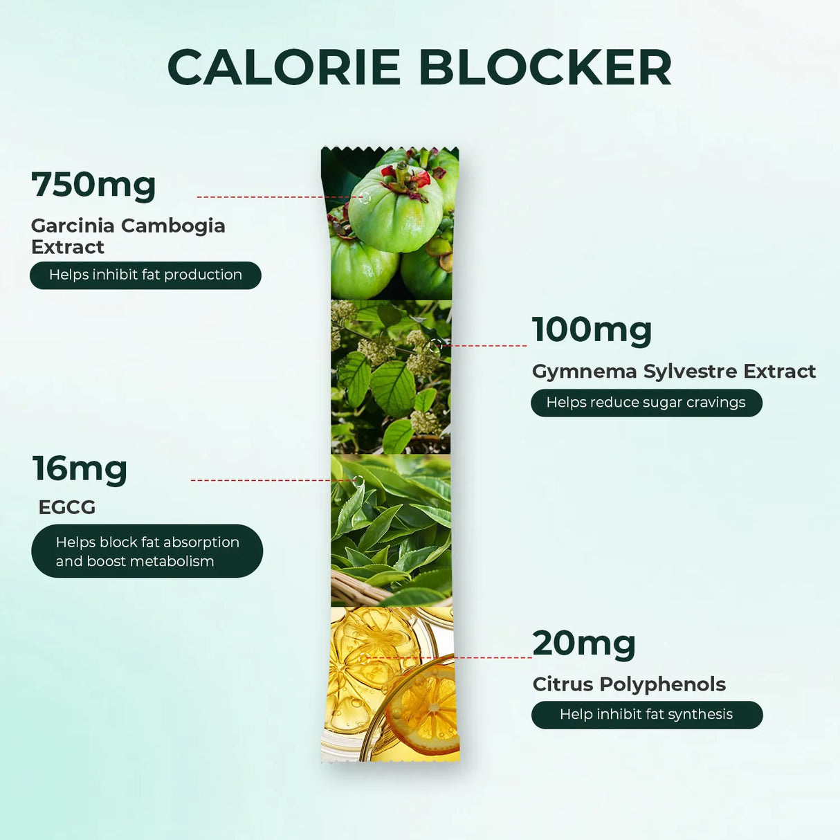 All-in-One Weight Management Bundle