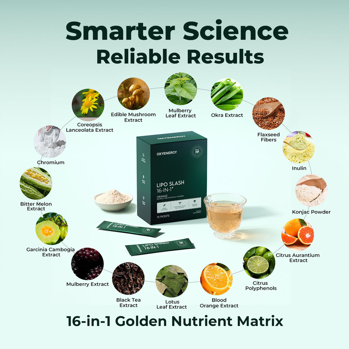 LIPO SLASH 16-IN-1