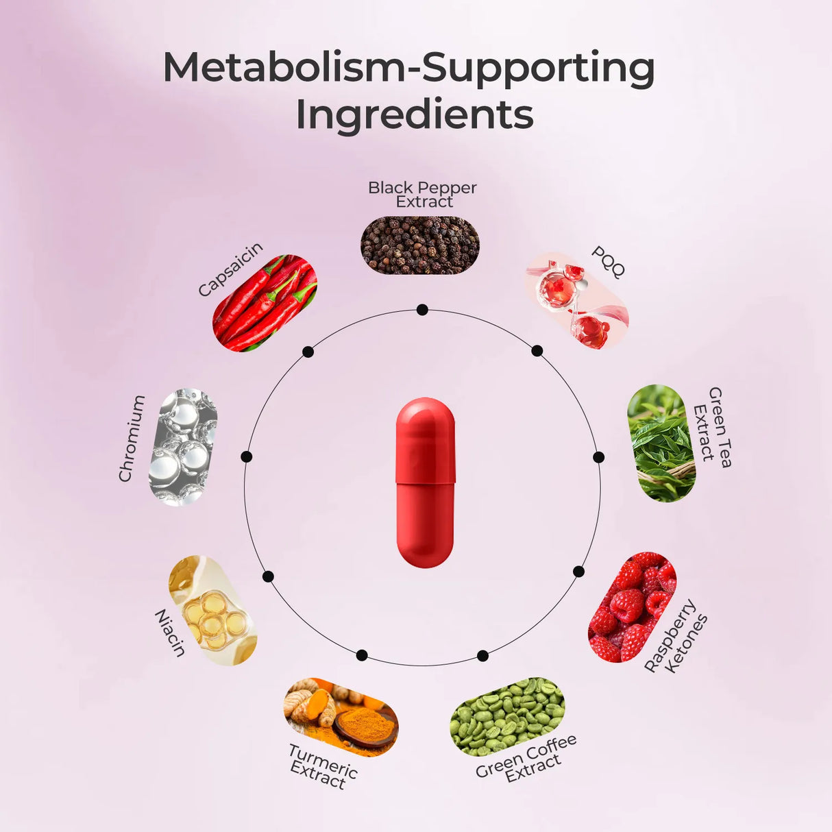 AMPK METABOLIC SUPPORT