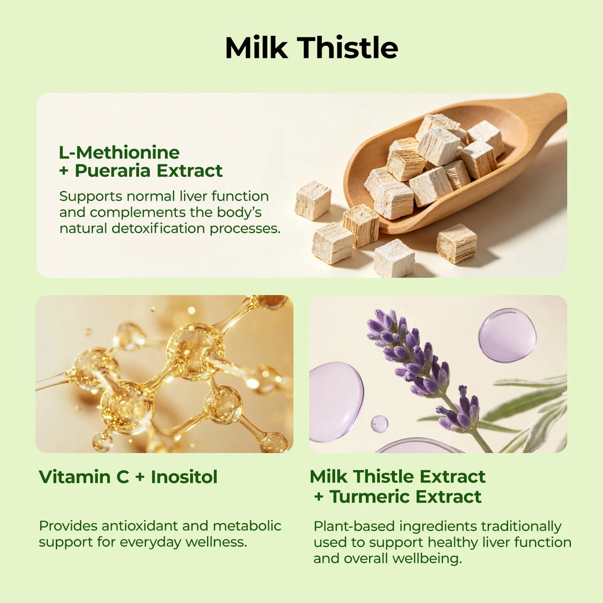 Digest + Detox Bundle