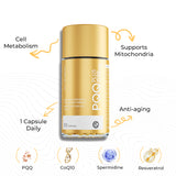 PQQ PLUS