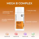 MEGA COMPLEJO B 