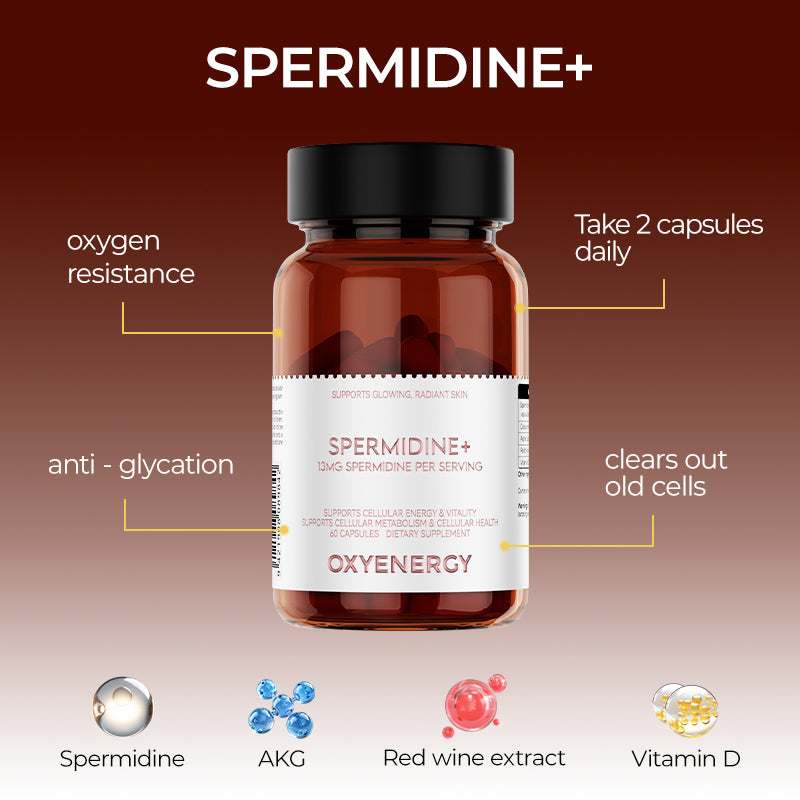 SPERMIDINE+