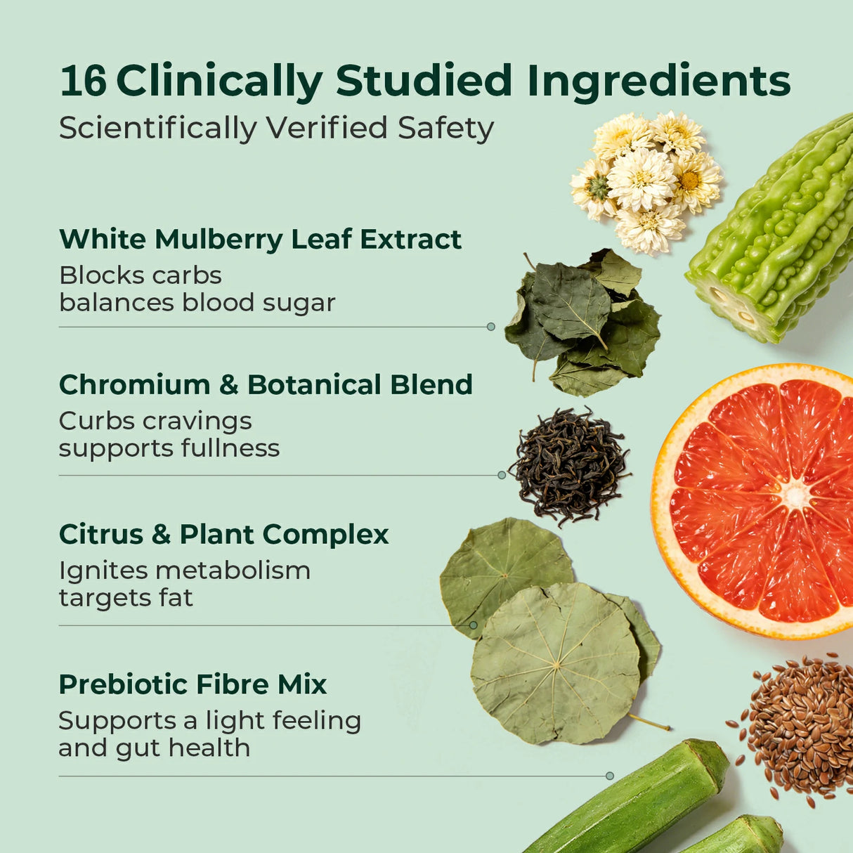 Metabolism & Gut Support Bundle