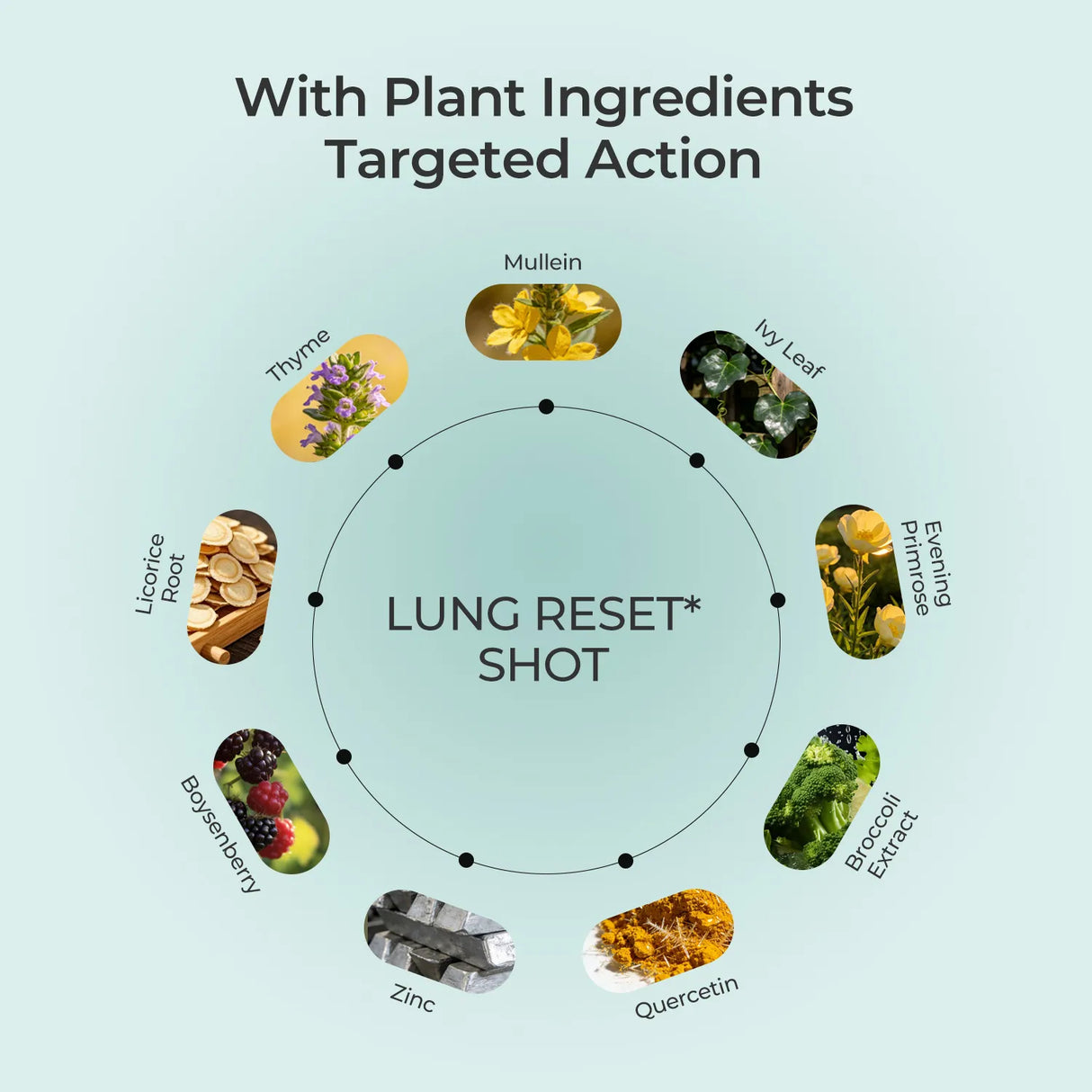 Lung Reset Shot 9-in-1 Cooling Sensation
