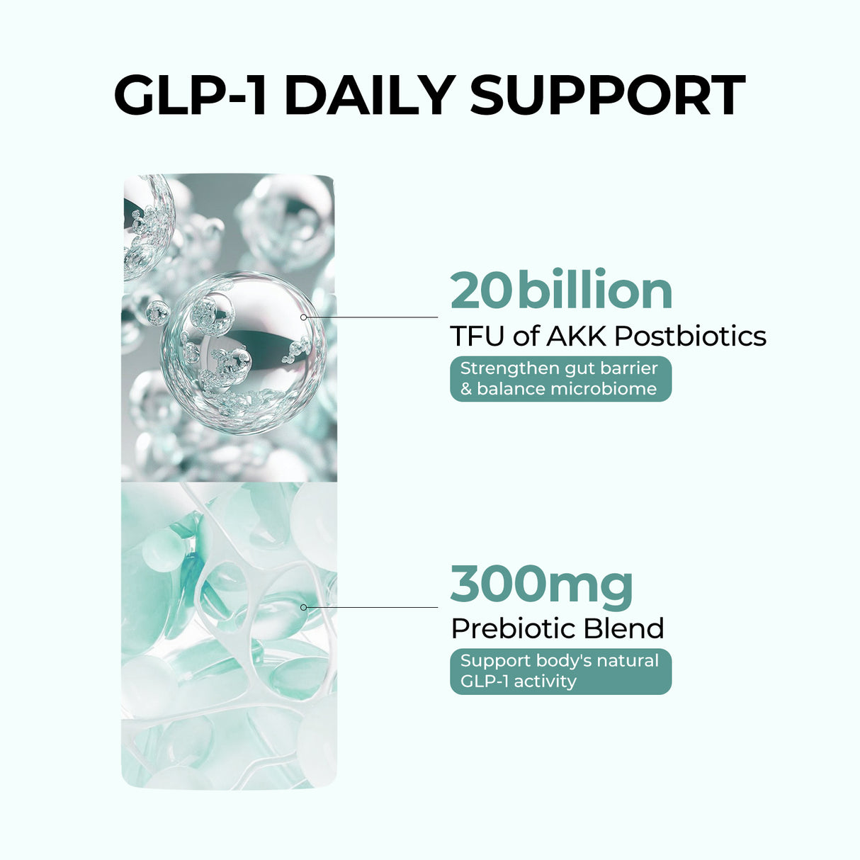 All-in-One Weight Management Bundle