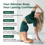 Metabolism & Gut Support Bundle