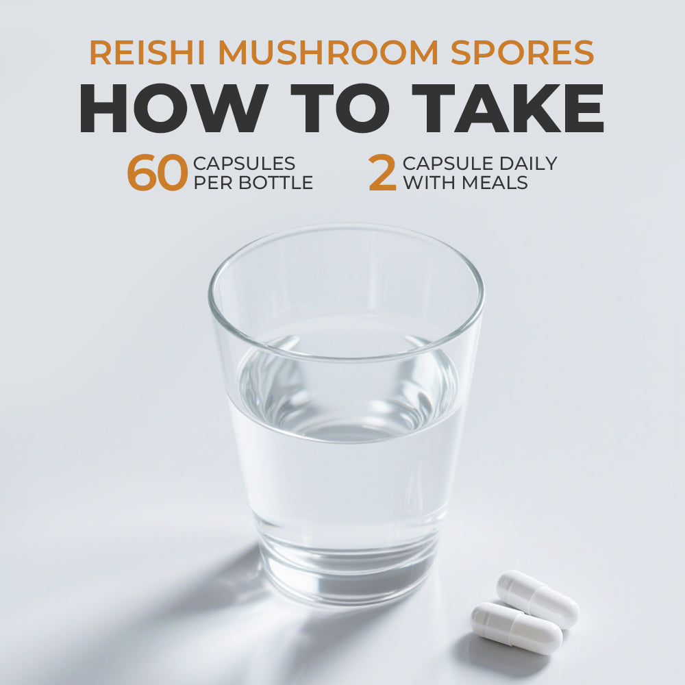 MUSHROOM REISHI SPORES