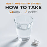 MUSHROOM REISHI SPORES