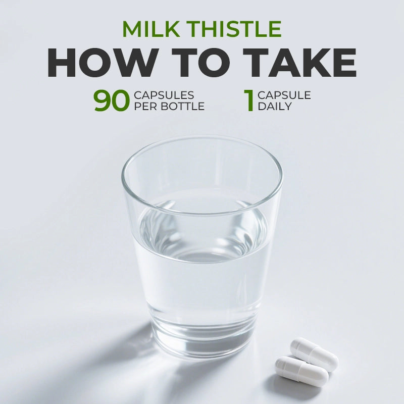 Milk Thistle Extract 300 mg