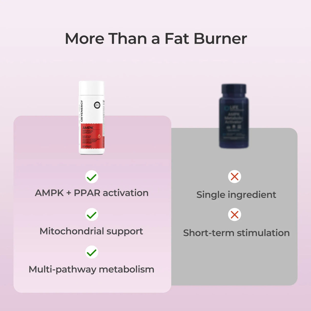 AMPK METABOLIC SUPPORT