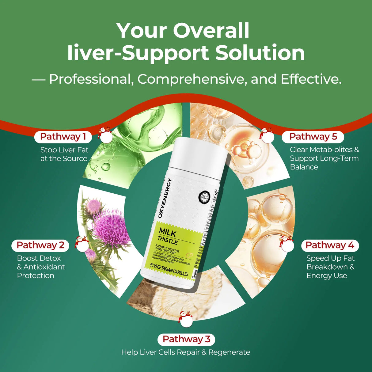 MILK THISTLE 90 CAPSULES - Purification &  Detoxification