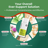 MILK THISTLE 90 CAPSULES - Purification &  Detoxification