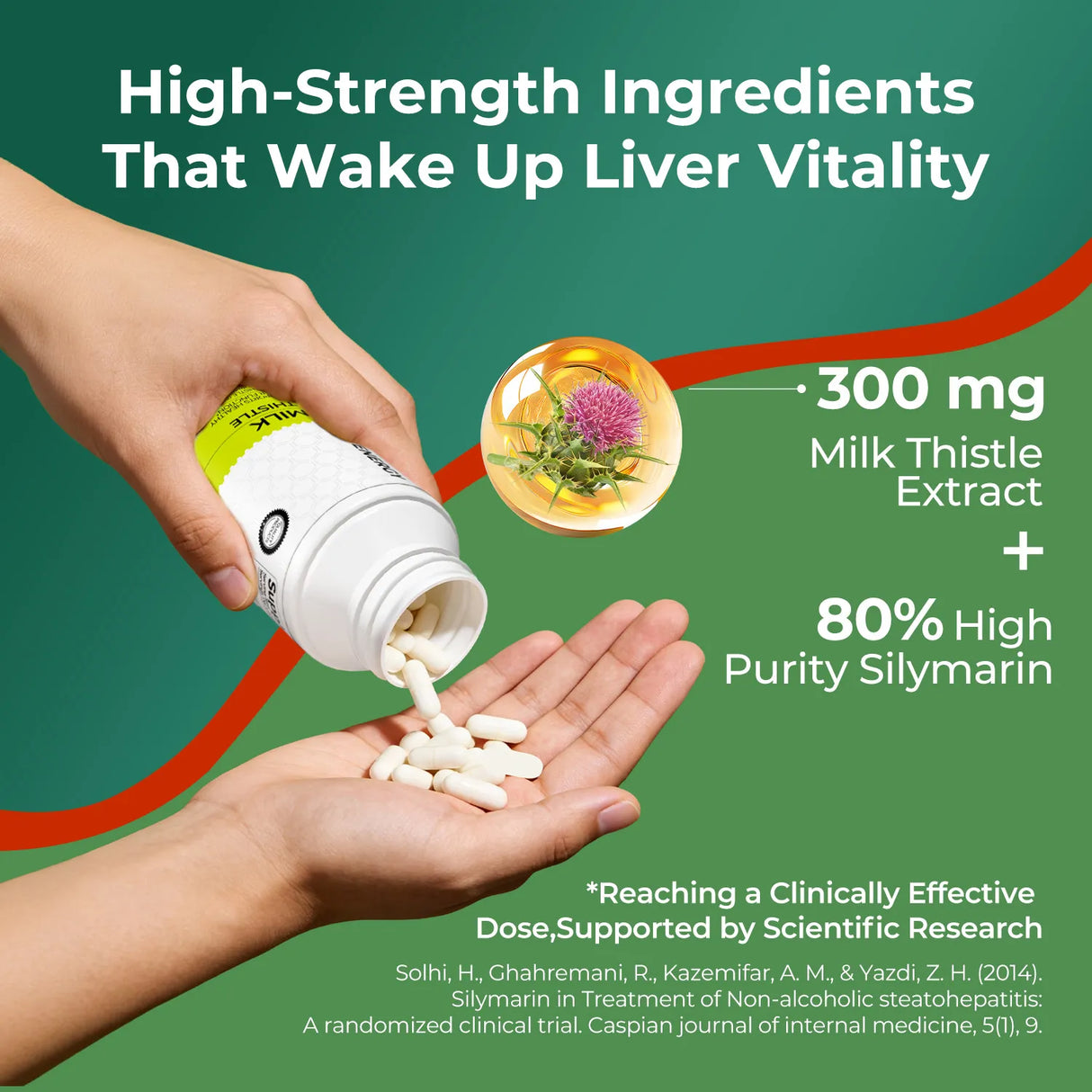 MILK THISTLE 90 CAPSULES - Purification &  Detoxification