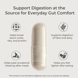 Digestive Enzymes - Supports Digestive Comfort