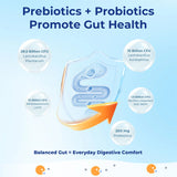 Gut Probiotics - Comprehensive Digestive Health Support