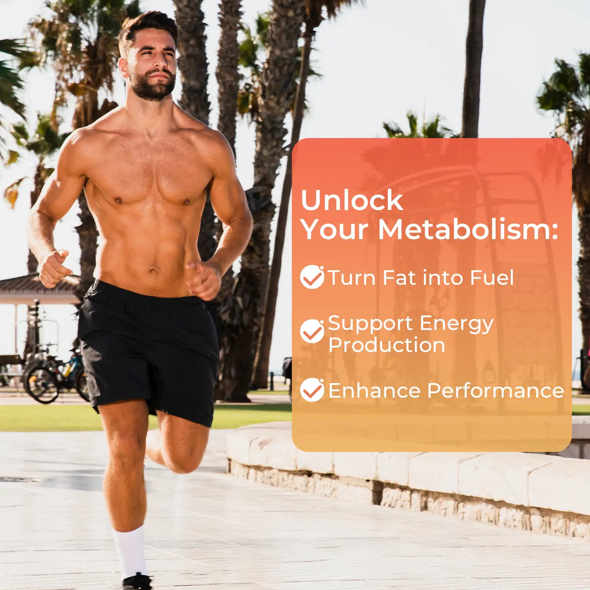L-Carnitine 21000 mg