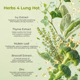 Lung & Liver Wellness Bundle