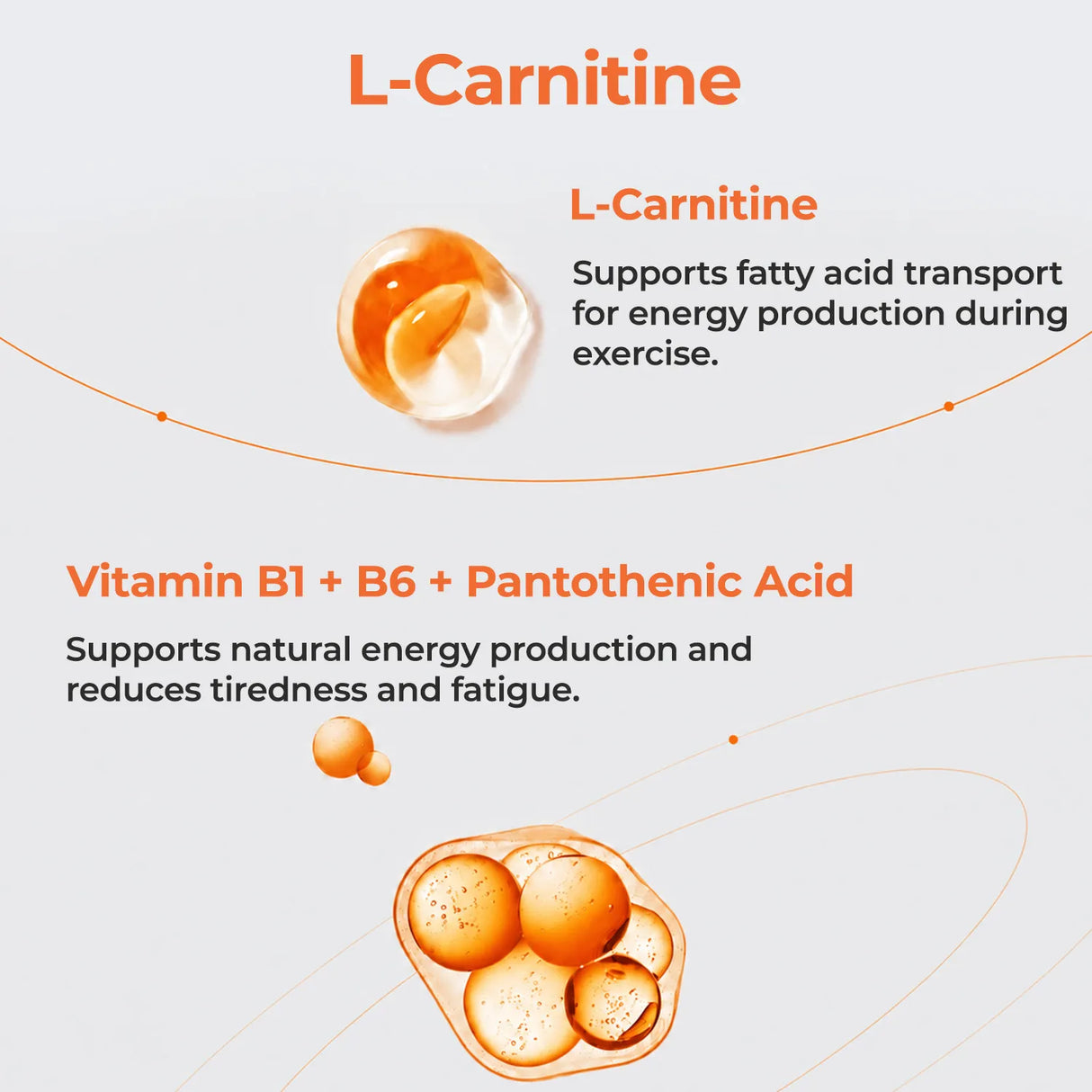 Metabolic Burn Bundle