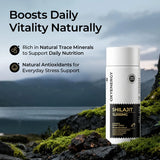 Shilajit