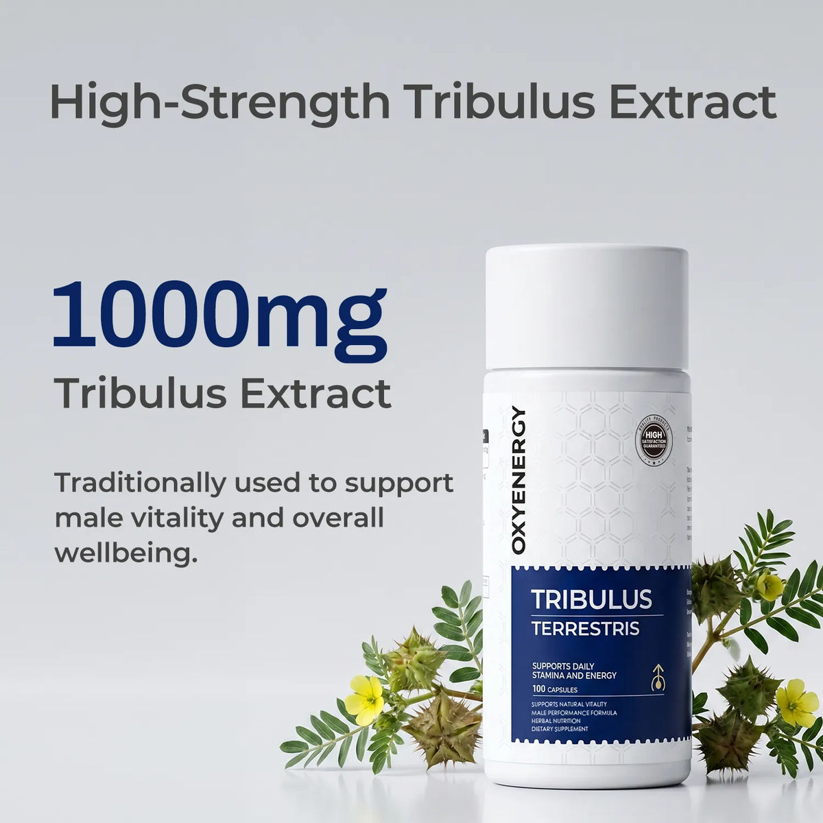 Tribulus Terrestris - Supports Daily Stamina & Energy