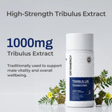 Tribulus Terrestris - Supports Daily Stamina & Energy